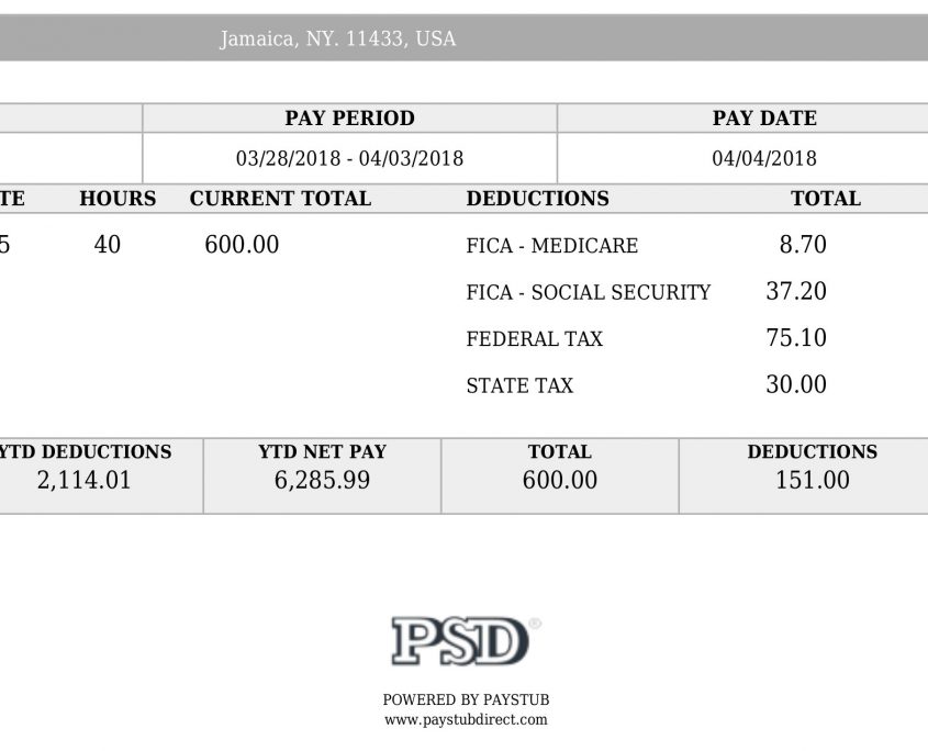 Style 2 Easy Paystub Pay Stub Direct