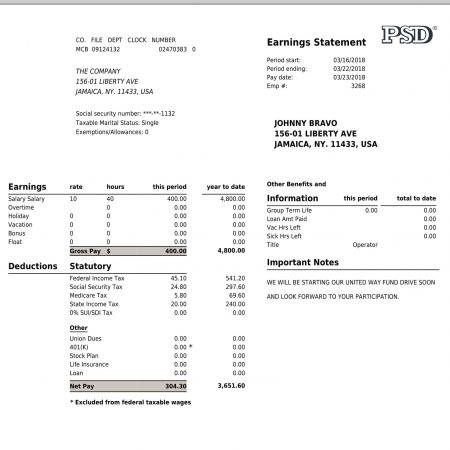 PayStub with Your Logo | Pay Stub Direct