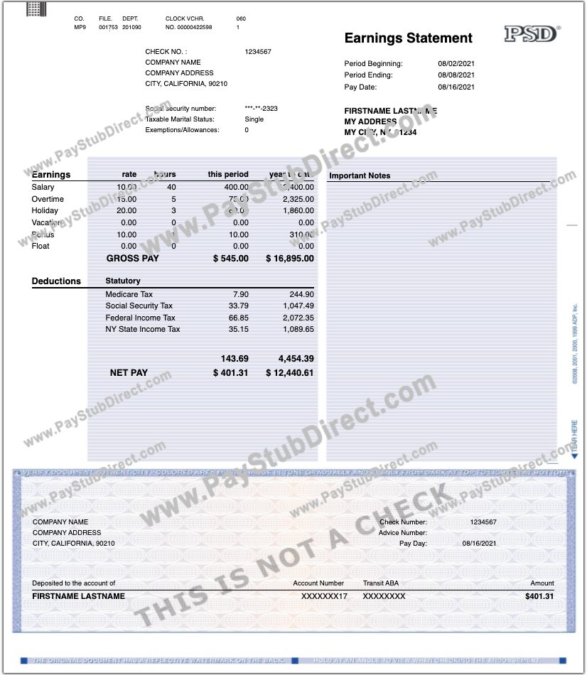 Paystub Generator Make Your Pay Stubs Preview Free Now 