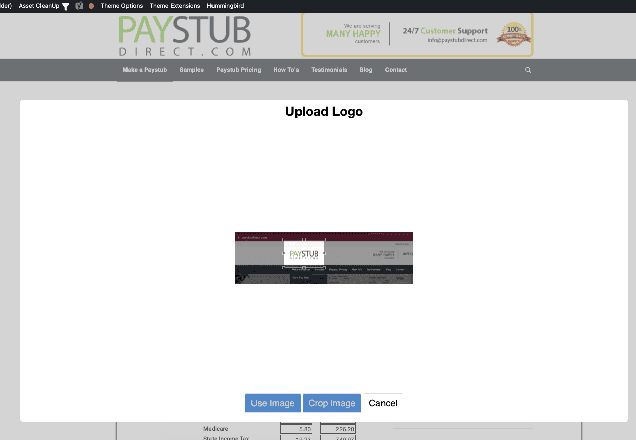 Showing steps to add a logo on your pay stub